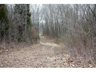 Property photo 10 - LAND AUCTION - 138+/- ACRES OFFERED IN 3 TRACTS IN SPENCER COUNTY, INDIANA